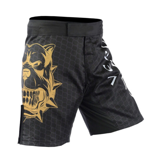 Ursa MMA Shorts