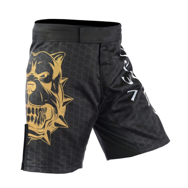 Ursa MMA Shorts