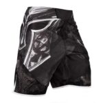 Gladiator MMA Shorts