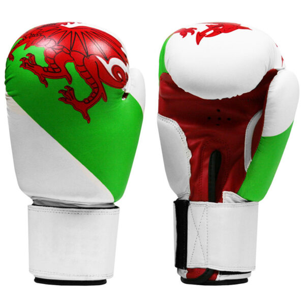 White Green & Red Dragon Boxing Gloves