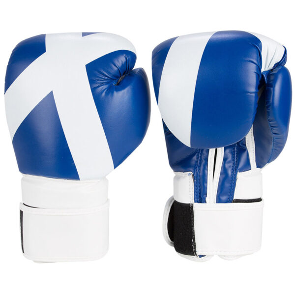 White & Blue Boxing Gloves