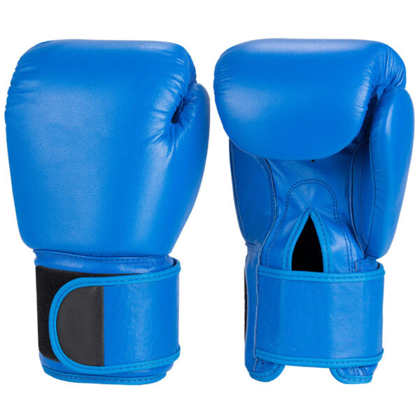 Blue Boxing Gloves